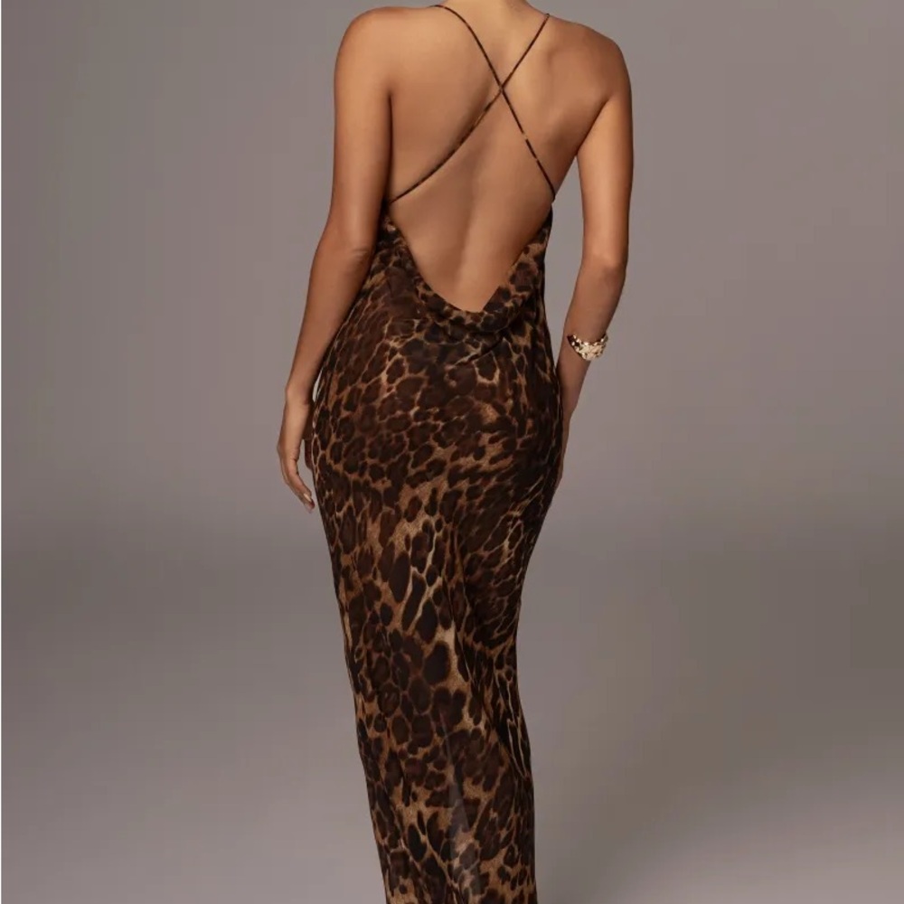 Leopard Print sheer maxi Dress